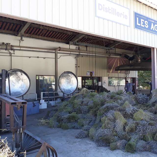 Distillerie de Lavande & Plantes Aromatiques - Les Agnels