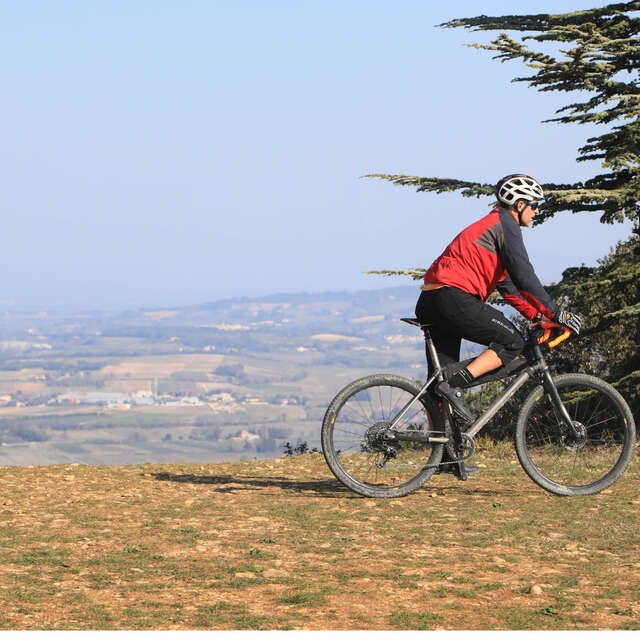 Gravel-bike Antik