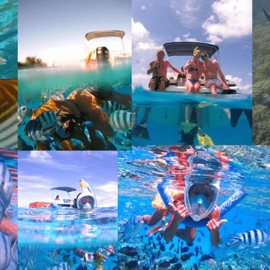 Nemo Snorkeling