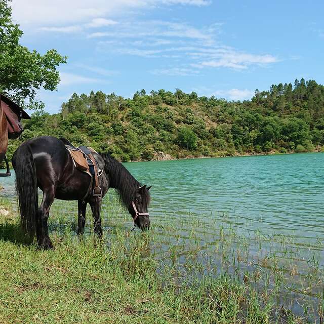 Balade à Cheval - Découverte du Lac de Saint Cassien- Les Poun's en herbe