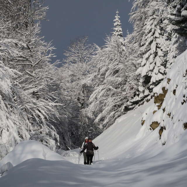 Balades raquettes Weekend à La Féclaz ou au Revard