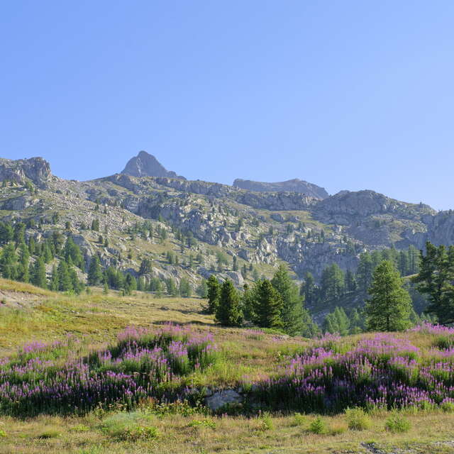 Départ randonnée - Tour du Malinvern