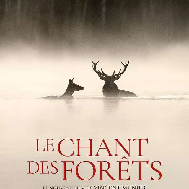 Projection du film "Le chant des forêts"