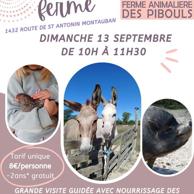 Grand guided tour of the Pibouls animal farm