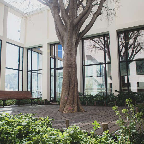 Animations à la médiathèque Salim Hatubou en  novembre et décembre