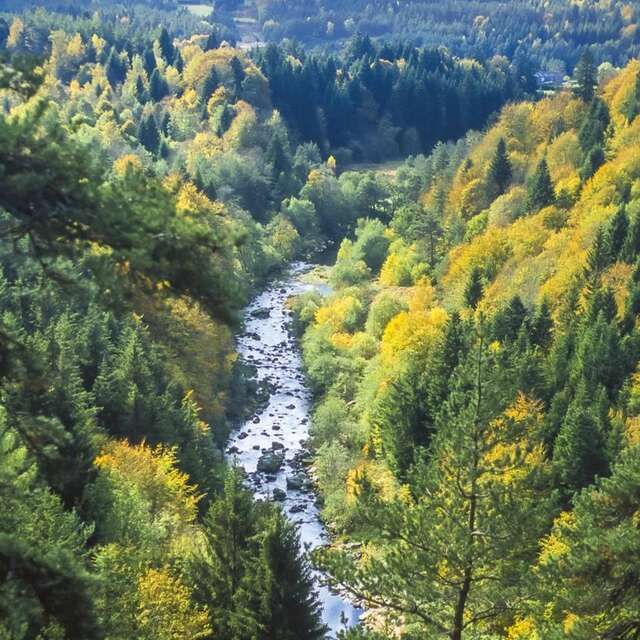 T53 - Les Gorges du Lignon