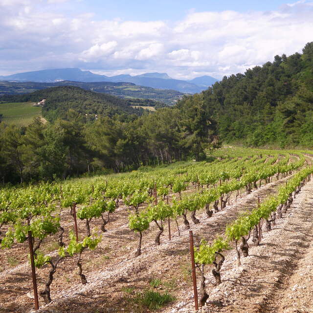 Domaine des Roches Fortes