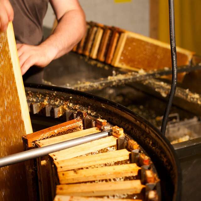 Les produits de la Cité de l'abeille