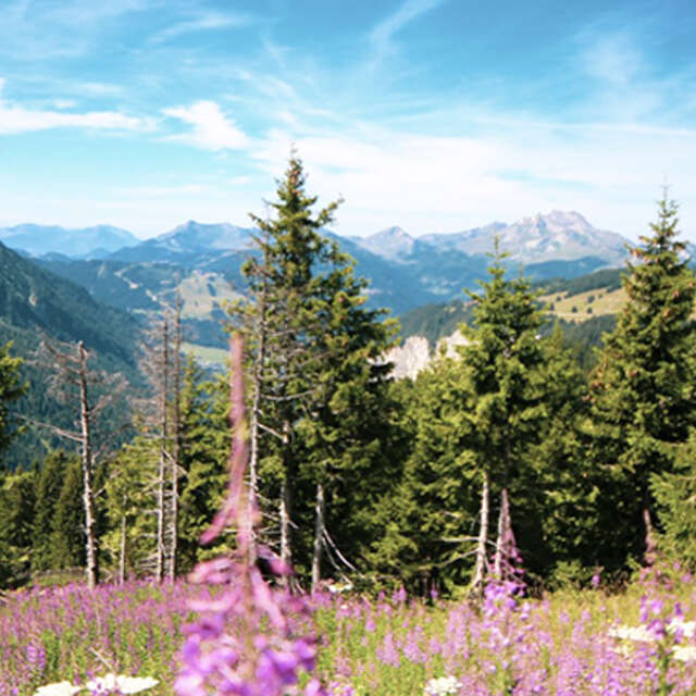 Escapade à Châtel depuis Avoriaz