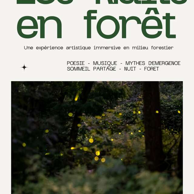 Festival Les nuits en forêt