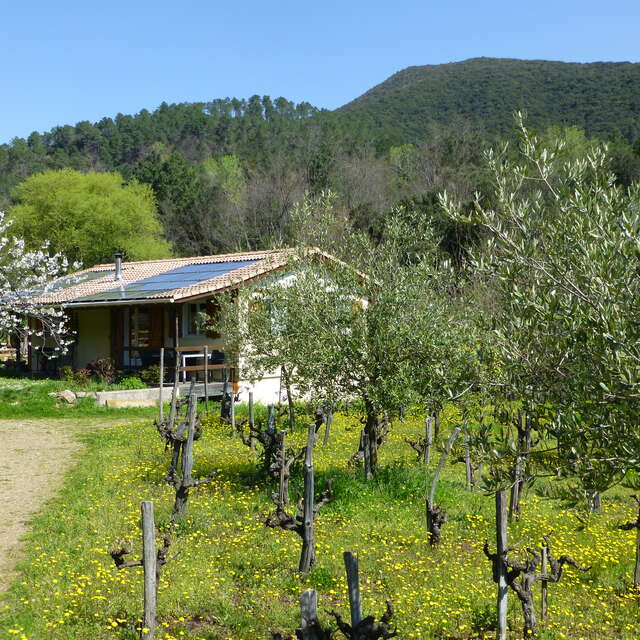 Gites En Cevennes La Bayte - Le Chalet