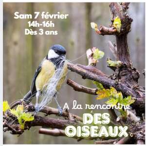 Les Ateliers des Babets "A la rencontre des oiseaux"