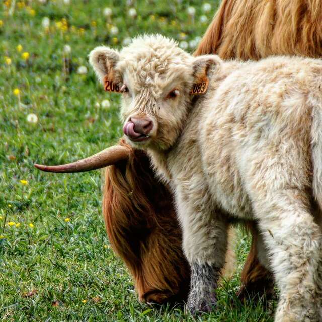 Visite de La Ferme du Marais