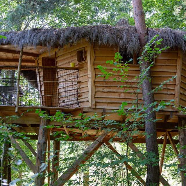 Wooden hut - wild strawberry