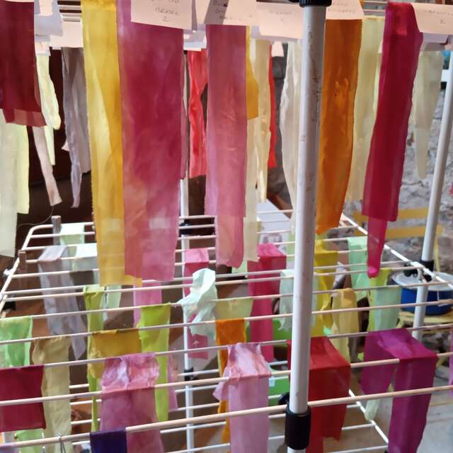 Stage de teinture végétale