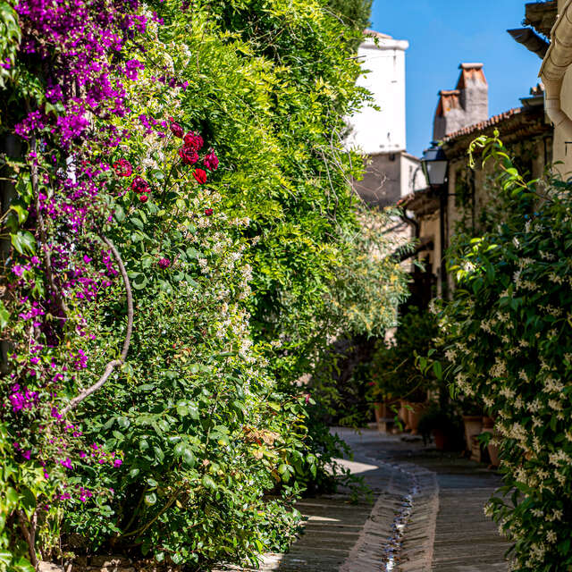 Historical route of Grimaud