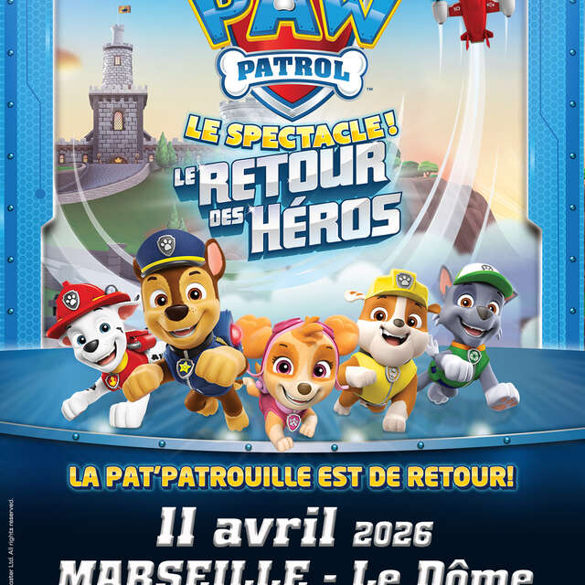 Pat patrouille, le retour des héros