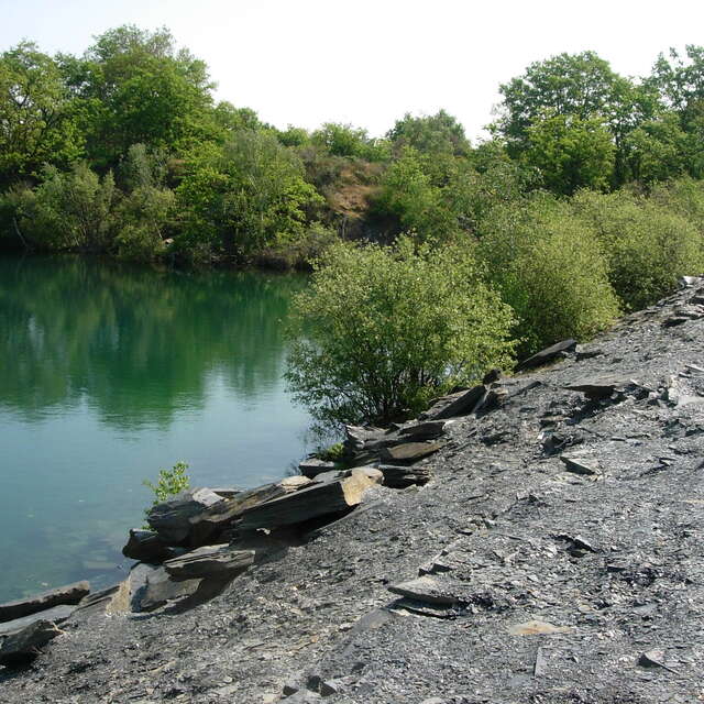 Visit: Discover the history of Trélazé slate (Visit in French only)