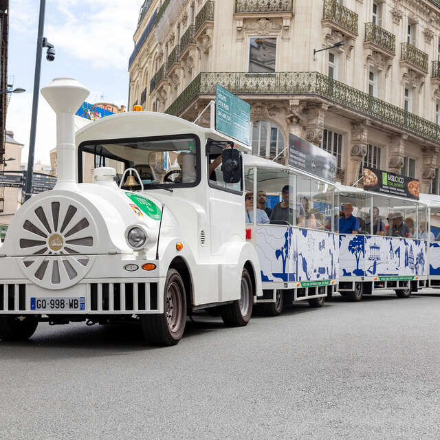 The Tourist train