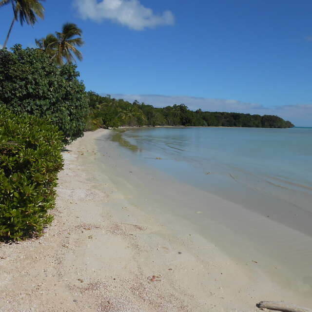 Plage de la baie de Gadji