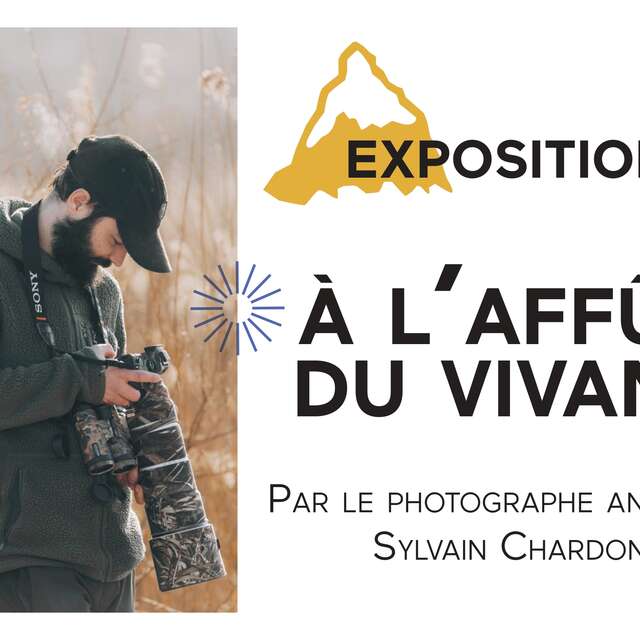 Exposition : À l'affût du vivant