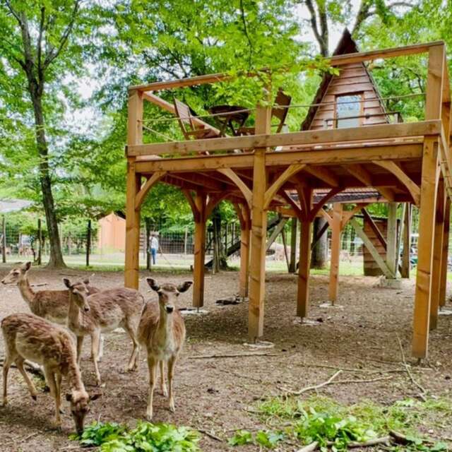 Deer and reindeer huts - DDLD
