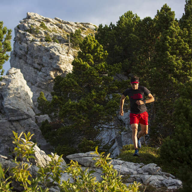 Trail : La boucle des Chartreux