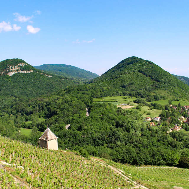 GR® de Pays - Tour du Pays de Lhuis et d'Izieu
