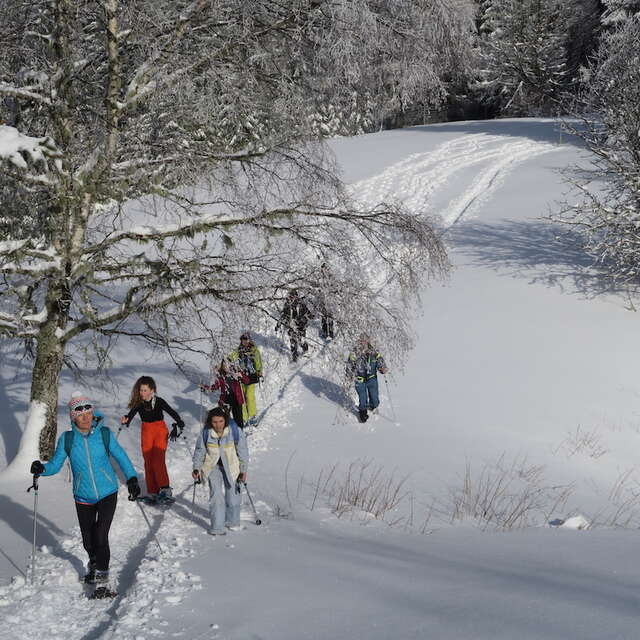 Balades et randonnées raquettes à la Féclaz ou au Revard