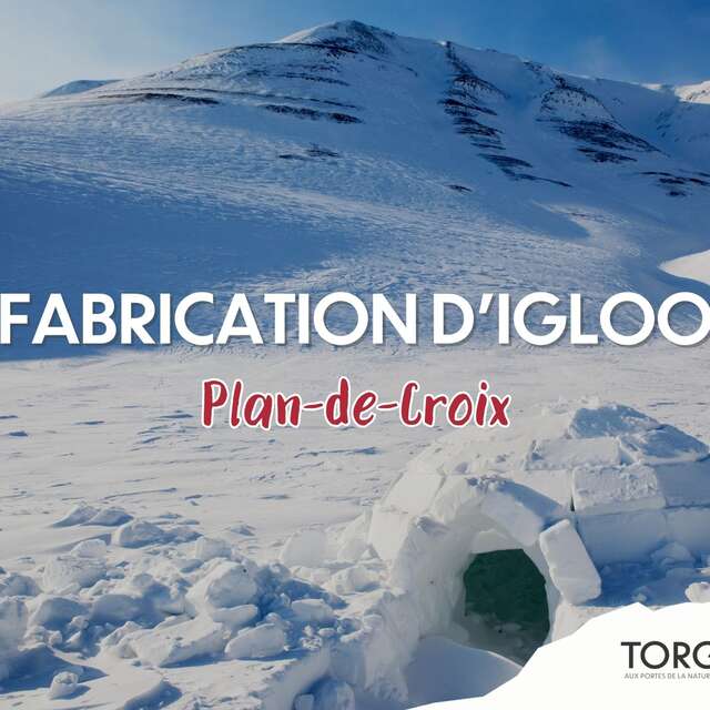 igloo construction