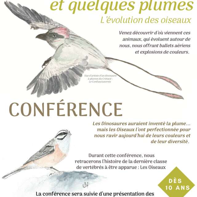 Conférence : Oiseaux, piafs et quelques plumes… L’évolution des oiseaux