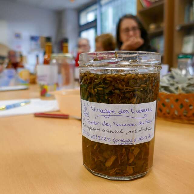 Atelier - De la plante à la transformation