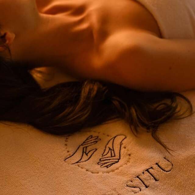 IN SITU SOIN