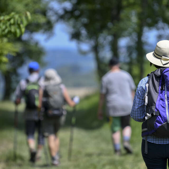Les canaux, la meyerie