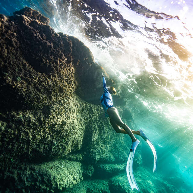 Expérience Méditerranée