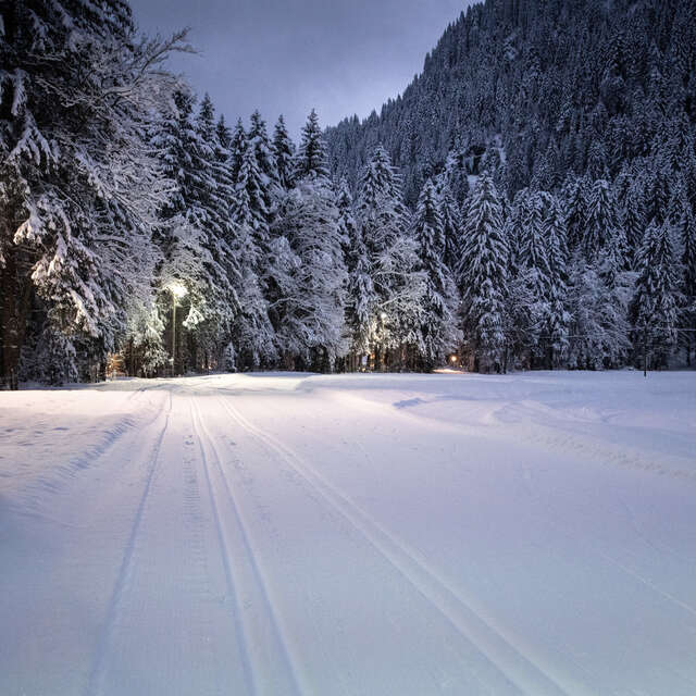 Piste de ski de fond du Grand-Paradis à Champéry