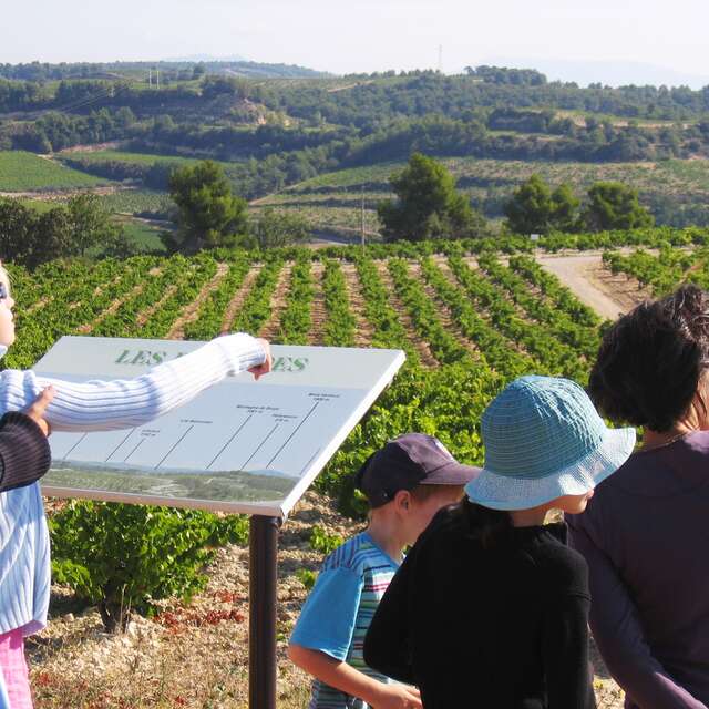 Wein- und Panoramaweg in Rasteau