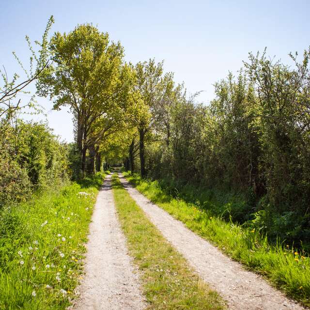 Bucolic walk around Saint-Léger-de-Linières