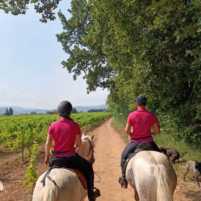 Balade à cheval dans les vignes