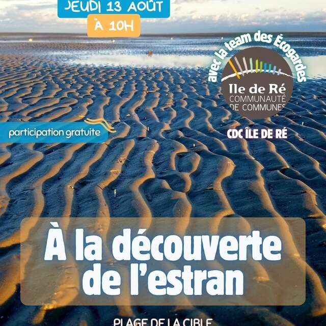 Atelier : à la découverte de l'estran