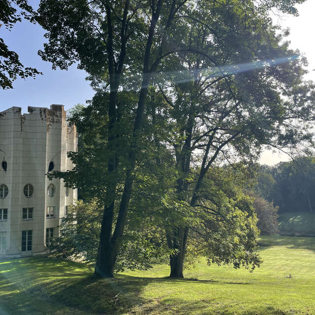 Séance de yoga au désert de Retz