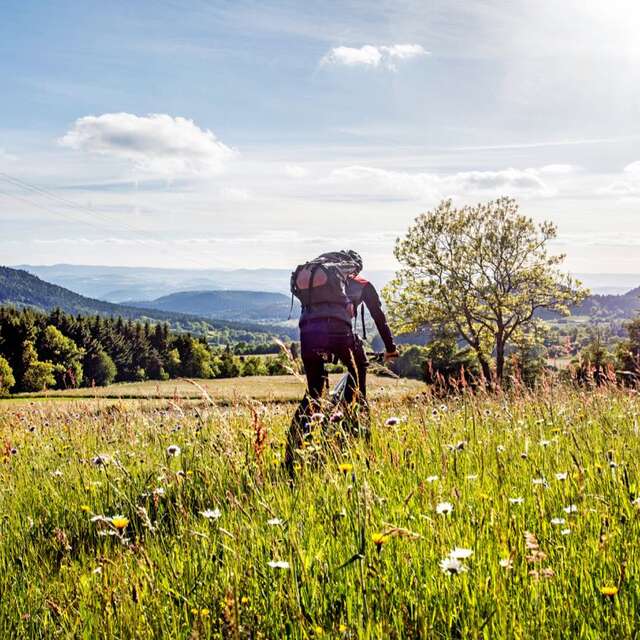 Guide Nature Randonnée - VTT