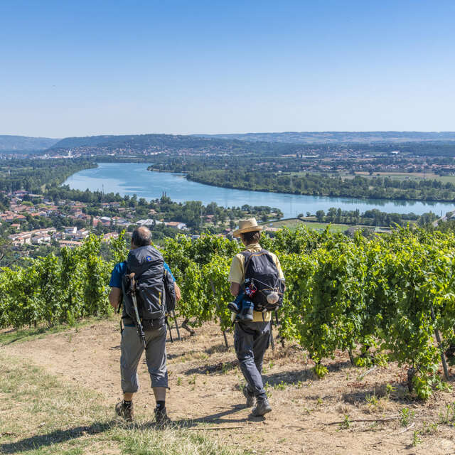 Chemins de Compostelle : Genève - Le Puy