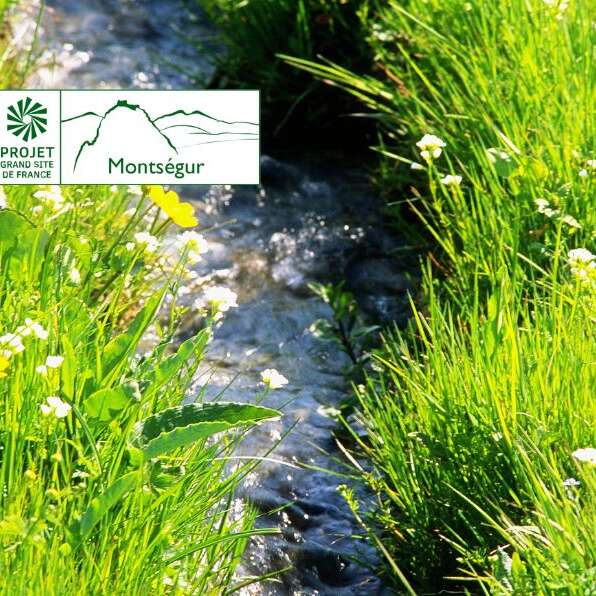Des sommets vers la vallée, elle coule, elle coule, la rivière…