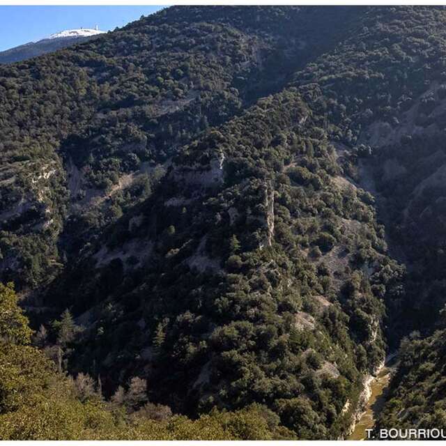 La randonnée de St-Léger-du-Ventoux 'Tour du Toulourenc' par Terra Rando