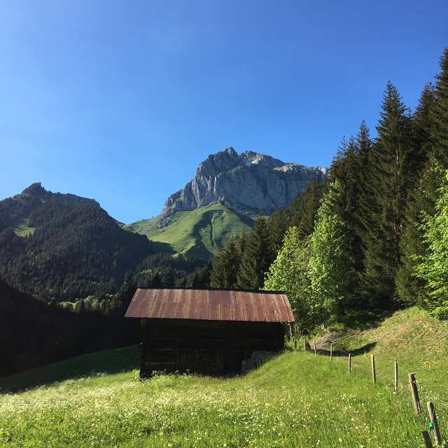 Electric mountain bike course 40 - La Chapelle d'Abondance