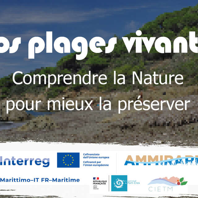 Porquerolles : balade nature à la découverte des paysages du littoral