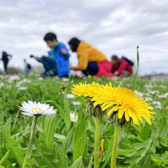 Exposición fotográfica "Graines de Beauté" de Fabien Fougeroux