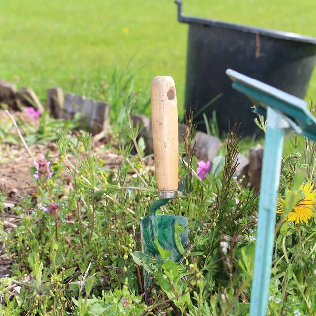 La nature fanfaronne