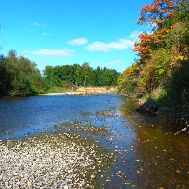 Sortie d’automne au Bec de Dore